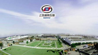 關(guān)于通報(bào)嚴(yán)重違規(guī)的二十家車(chē)輛生產(chǎn)企業(yè)的決定